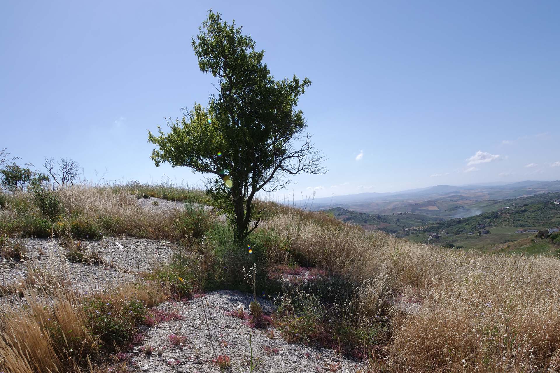 P1377463_ECOLOGIA_GESSI
