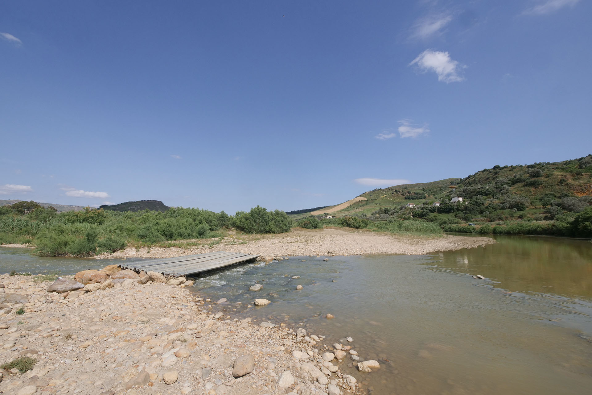 P1377696_ECOLOIGA_PLATANI