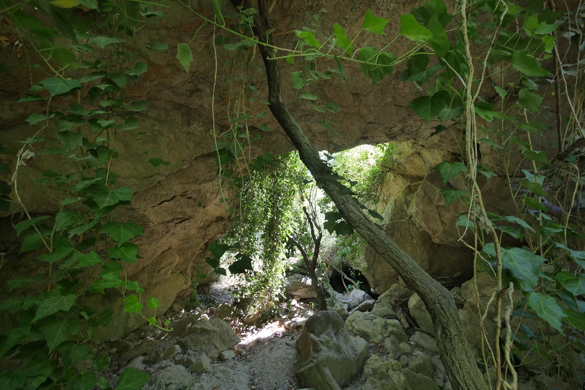 P1388176_VALLONE