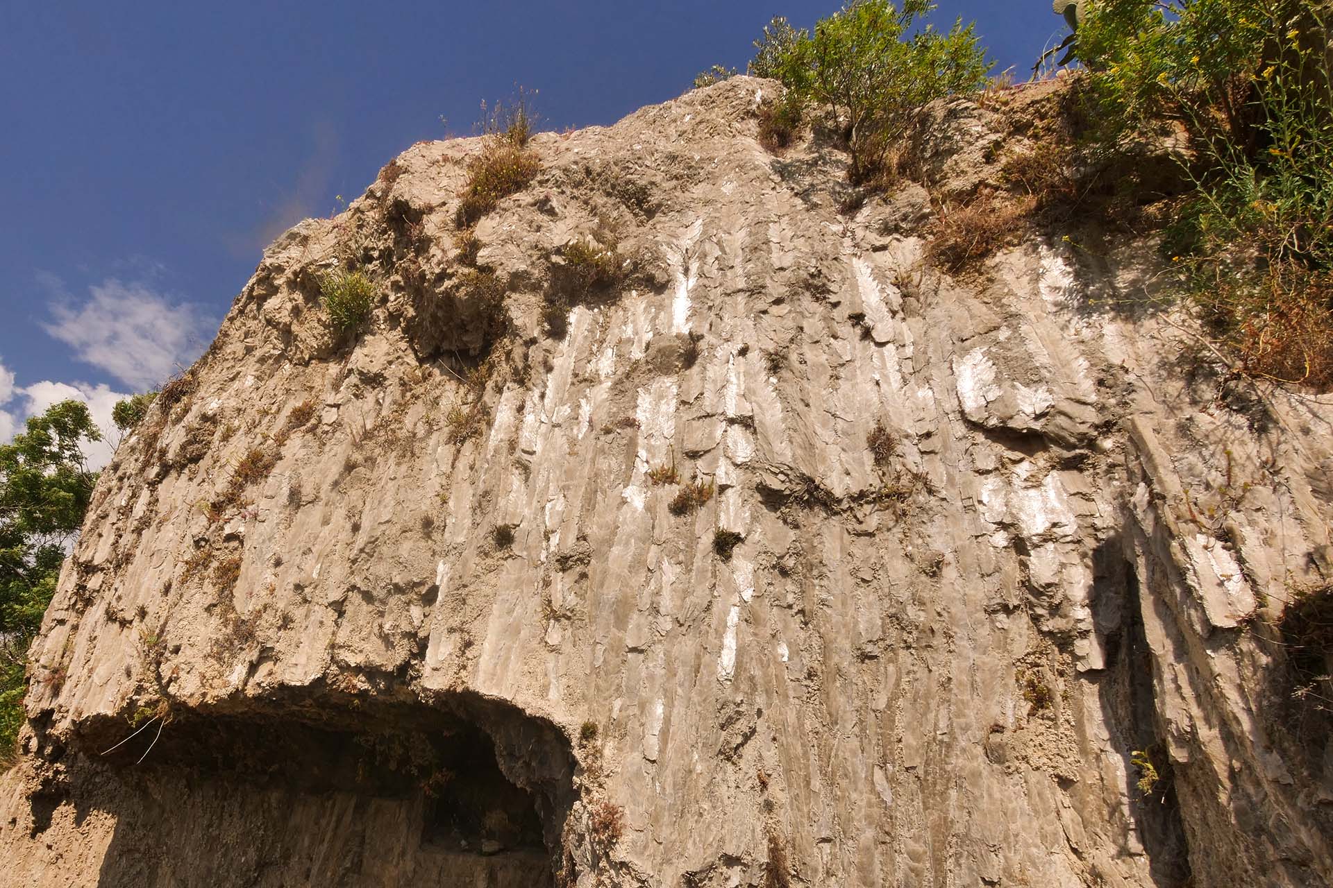 bdm_ecologia_gesso_3